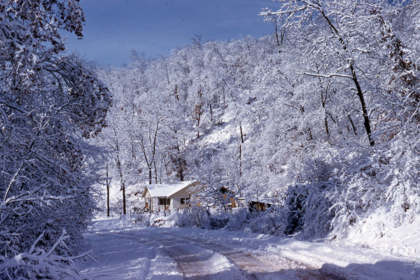 Winter Scene